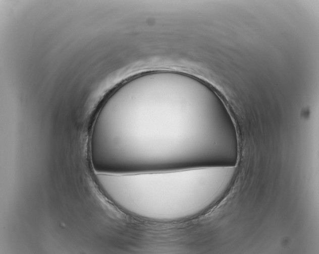 X0000094191507200710260943