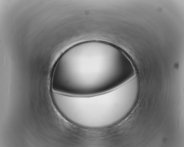 X0000094191508200710260943