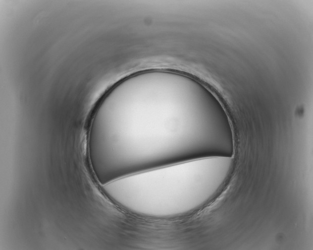 X0000094191509200710260943
