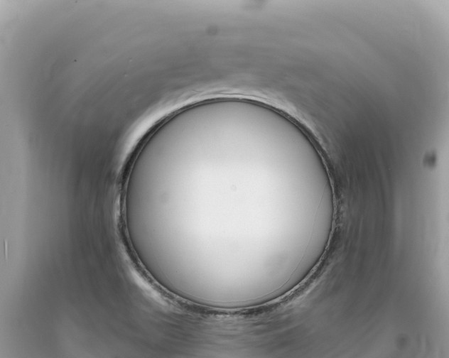 X0000094191511200710260943