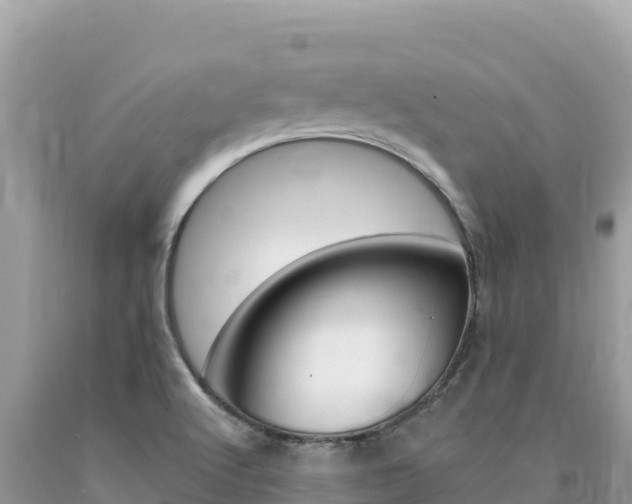 X0000094191512200710260943