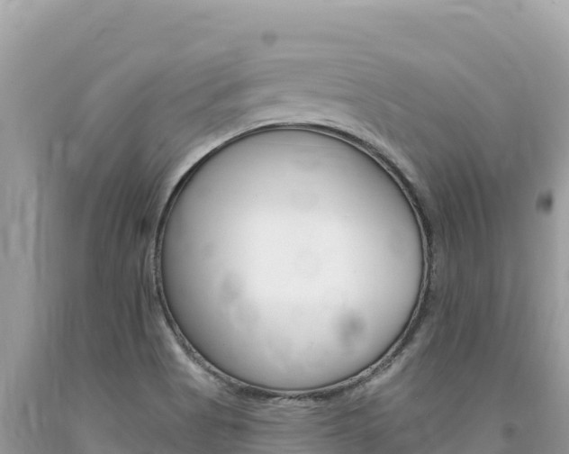 X0000094191513200710260943