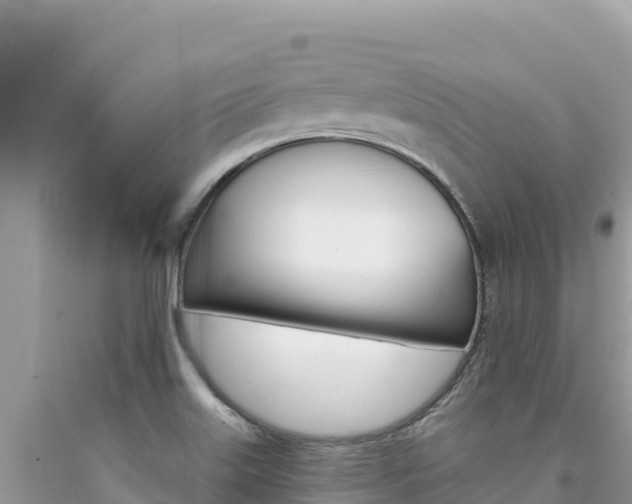 X0000094191515200710260943