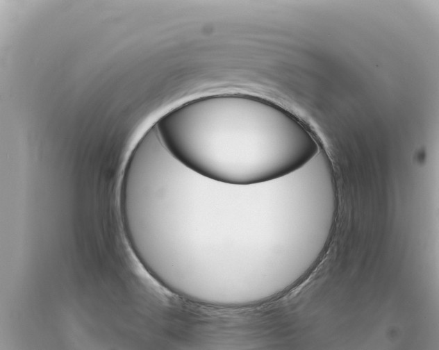 X0000094191516200710260943