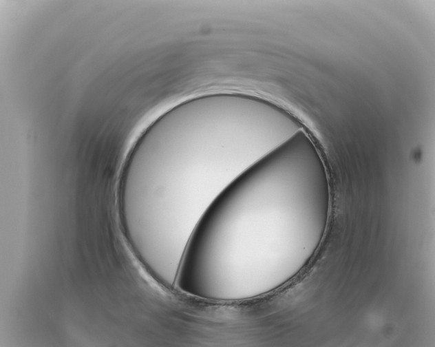 X0000094191517200710260943