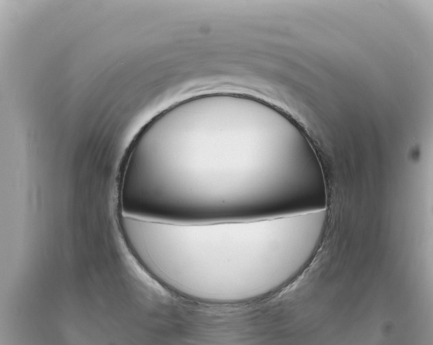 X0000094191518200710260943