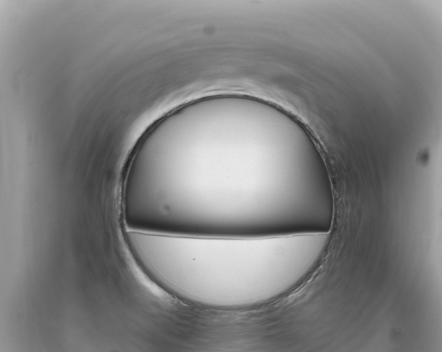 X0000094191519200710260943