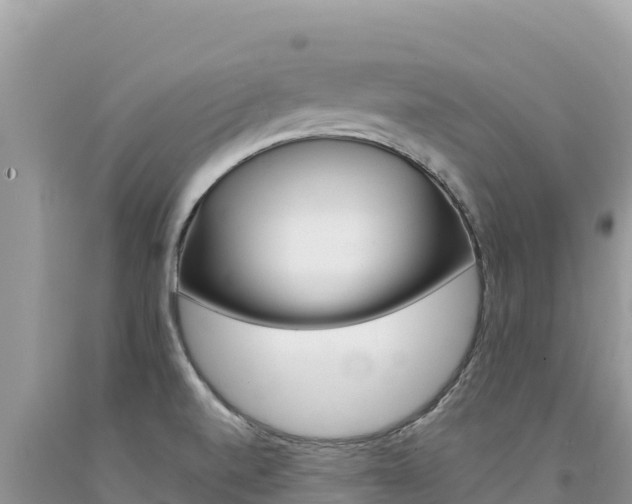 X0000094191520200710260943