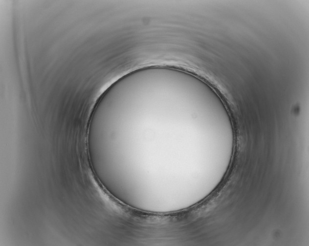X0000094191521200710260943