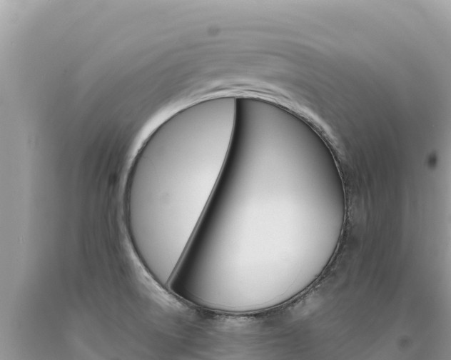 X0000094191522200710260943