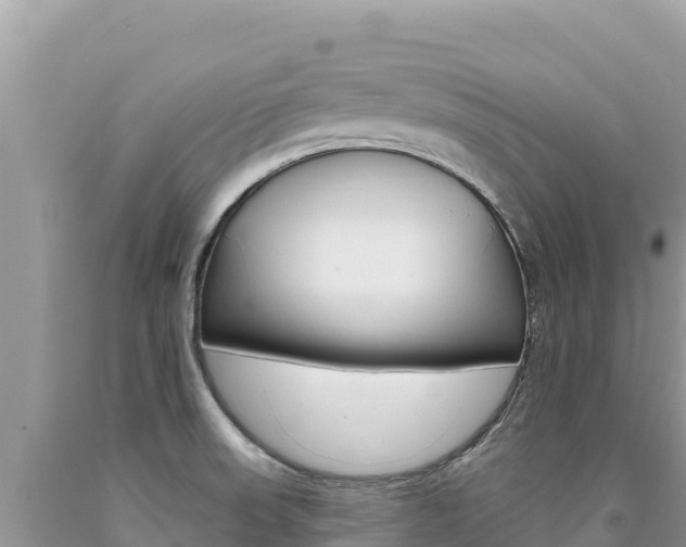 X0000094191523200710260943