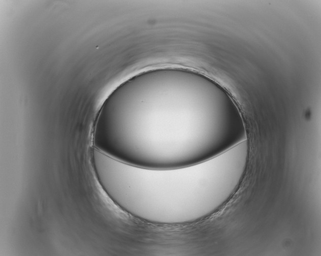 X0000094191524200710260943