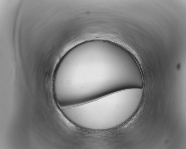 X0000094191525200710260943