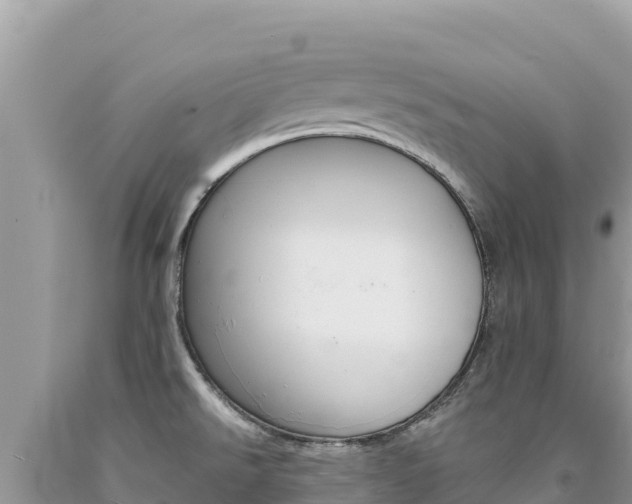 X0000094191526200710260943