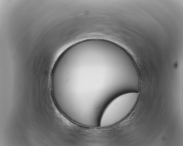 X0000094191527200710260943