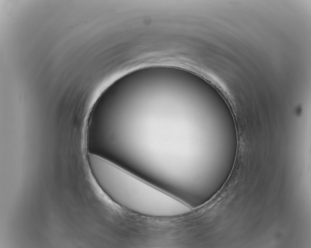 X0000094191528200710260943