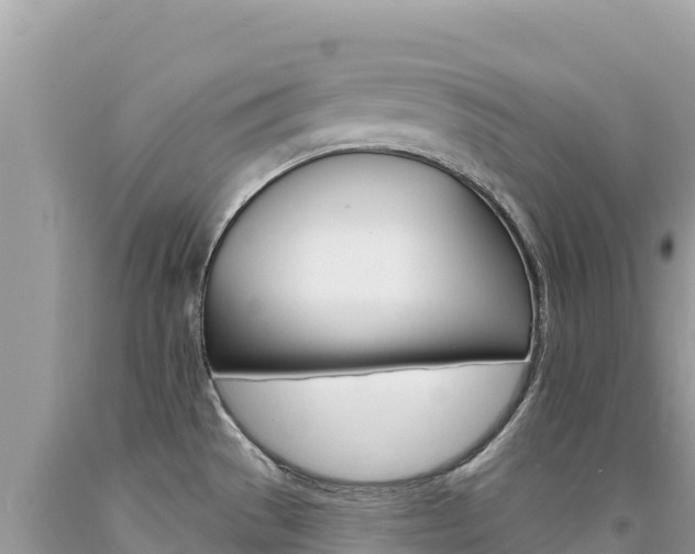 X0000094191529200710260943
