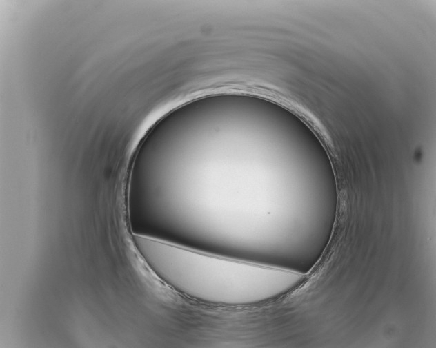 X0000094191530200710260943