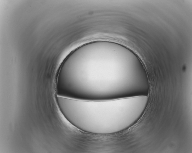 X0000094191531200710260943