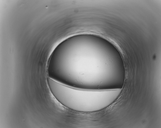 X0000094191532200710260943