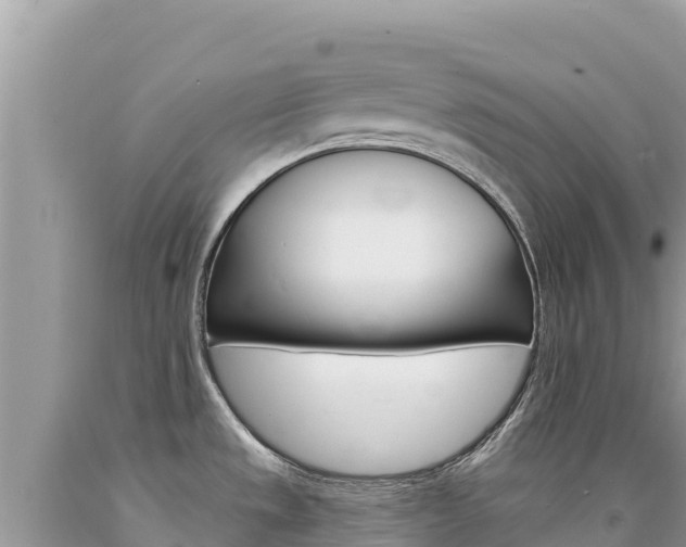 X0000094191533200710260943