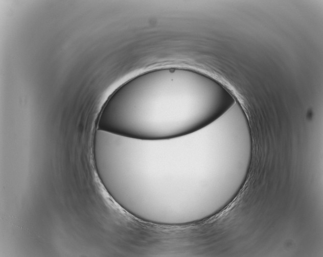 X0000094191534200710260943