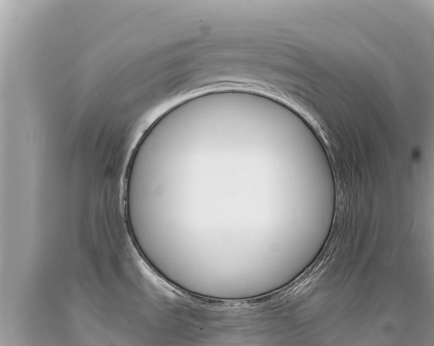 X0000094191535200710260943