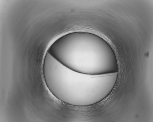 X0000094191536200710260943