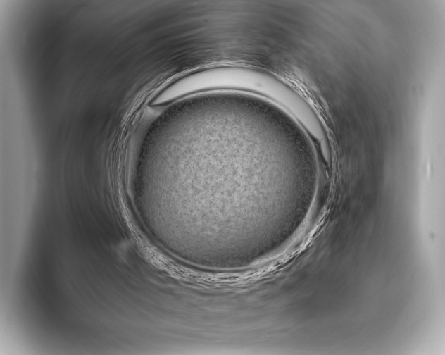 X0000094190001200710261141