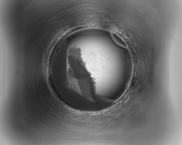 X0000094190002200710261141