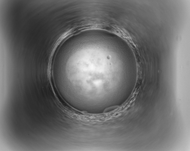 X0000094190003200710261141
