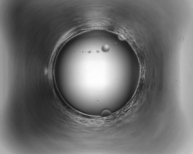 X0000094190004200710261141