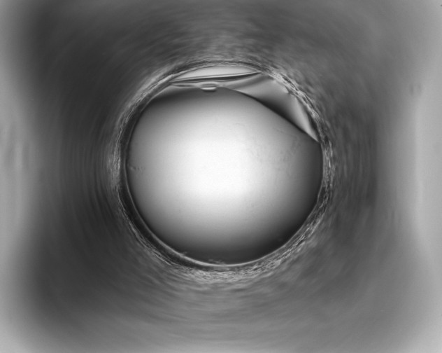 X0000094190005200710261141