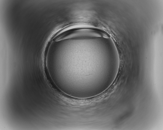 X0000094190006200710261141