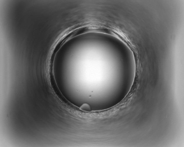 X0000094190007200710261141