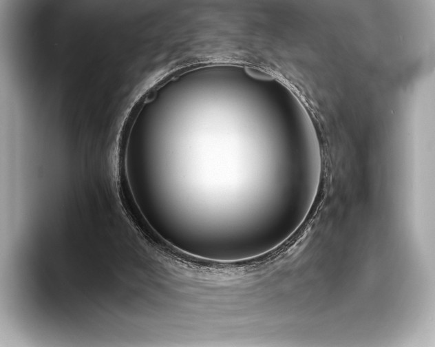 X0000094190008200710261141