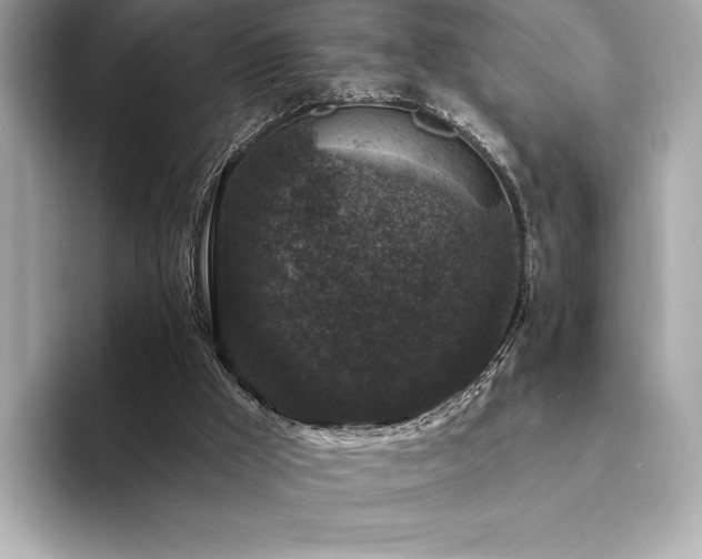 X0000094190009200710261141