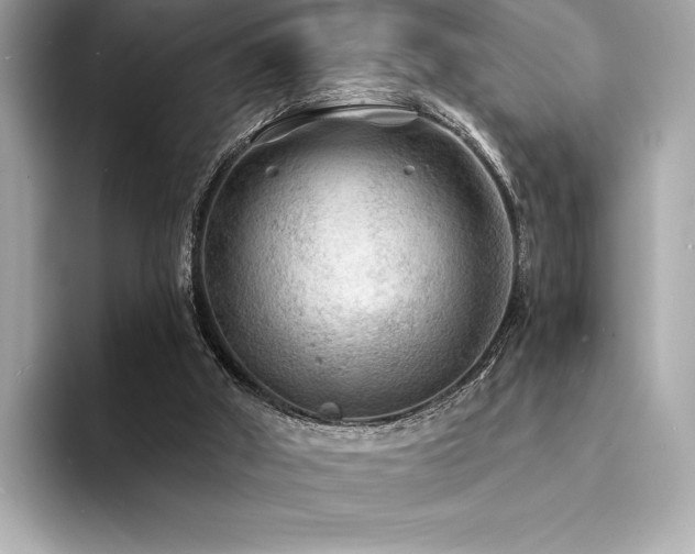 X0000094190010200710261141