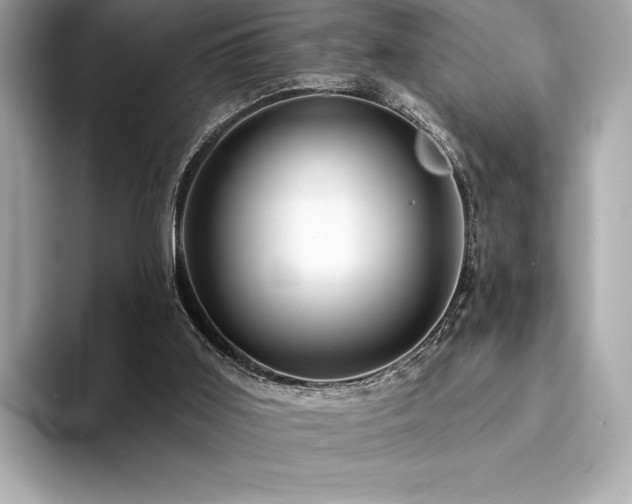 X0000094190011200710261141