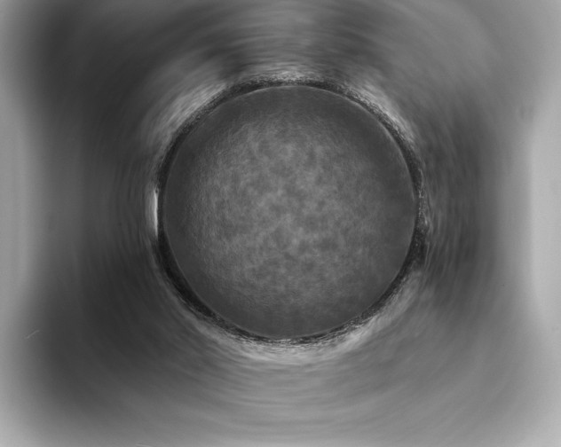 X0000094190014200710261141