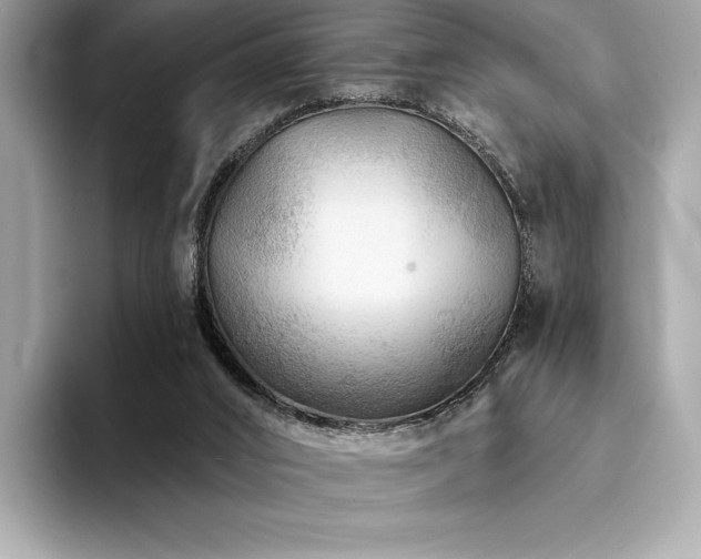 X0000094190016200710261141
