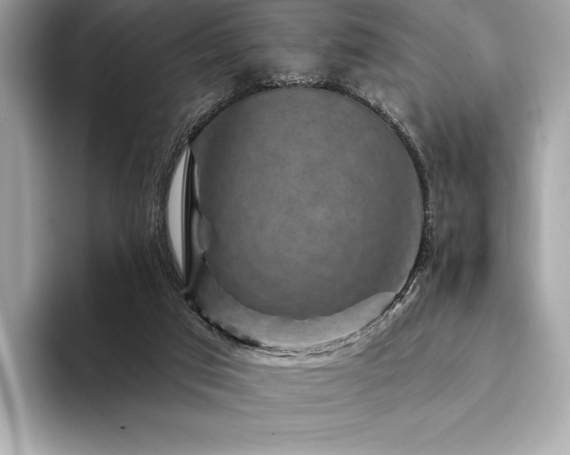 X0000094190017200710261141