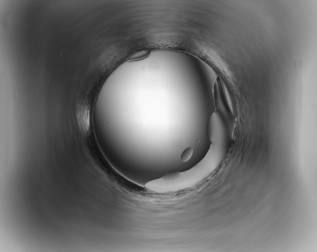 X0000094190021200710261141