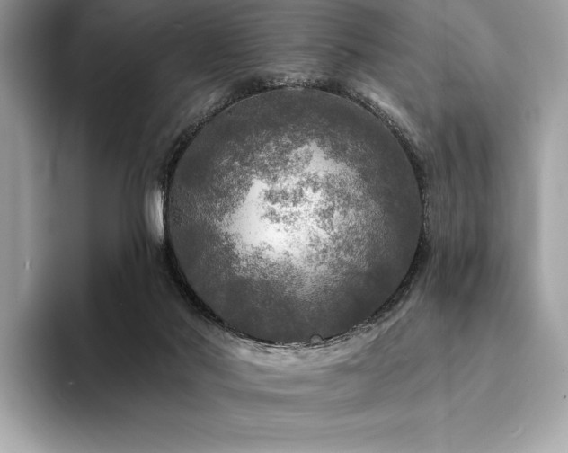 X0000094190022200710261141