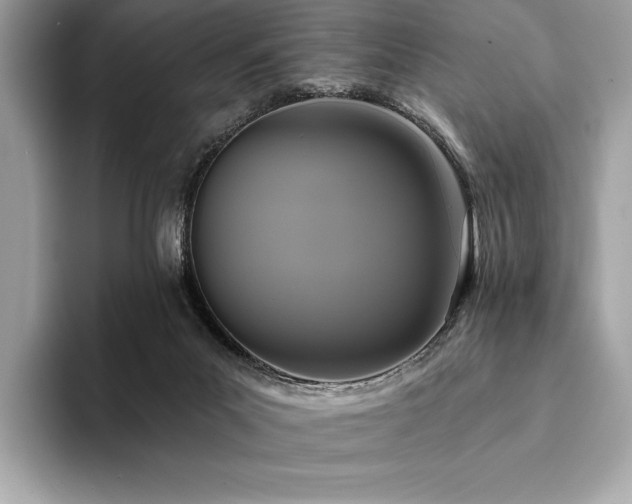 X0000094190023200710261141