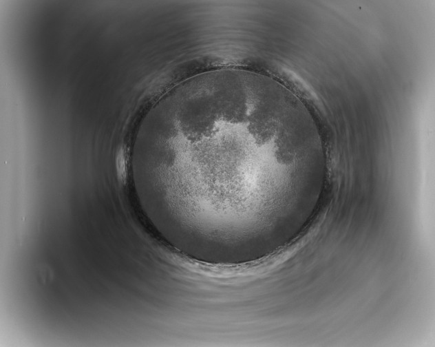 X0000094190026200710261141
