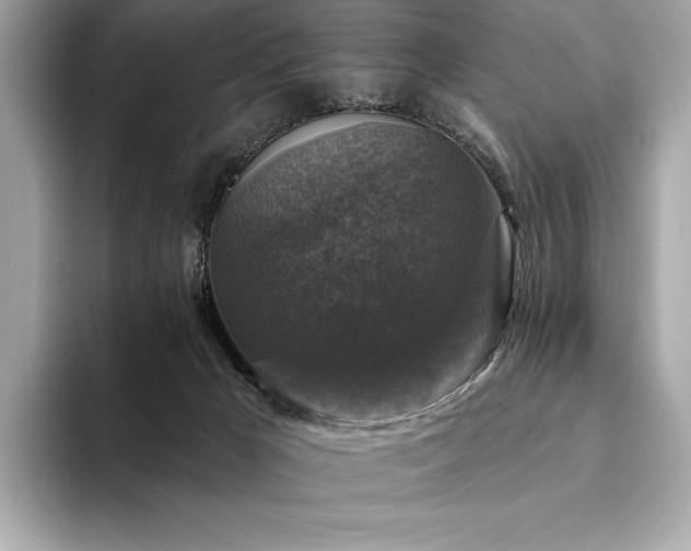 X0000094190029200710261140