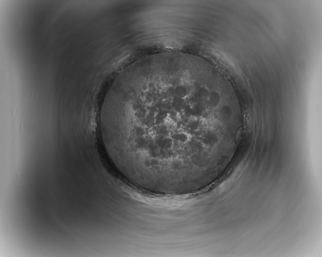 X0000094190032200710261140