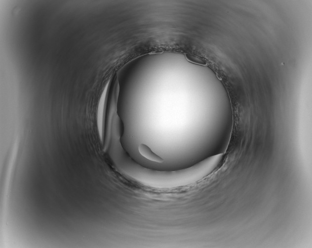X0000094190033200710261140