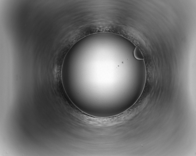 X0000094190034200710261140